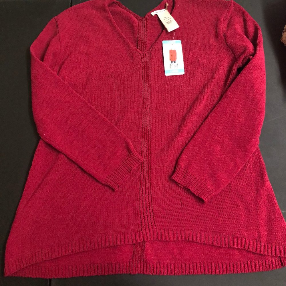 NWT Raspberry Philosophy Sweater